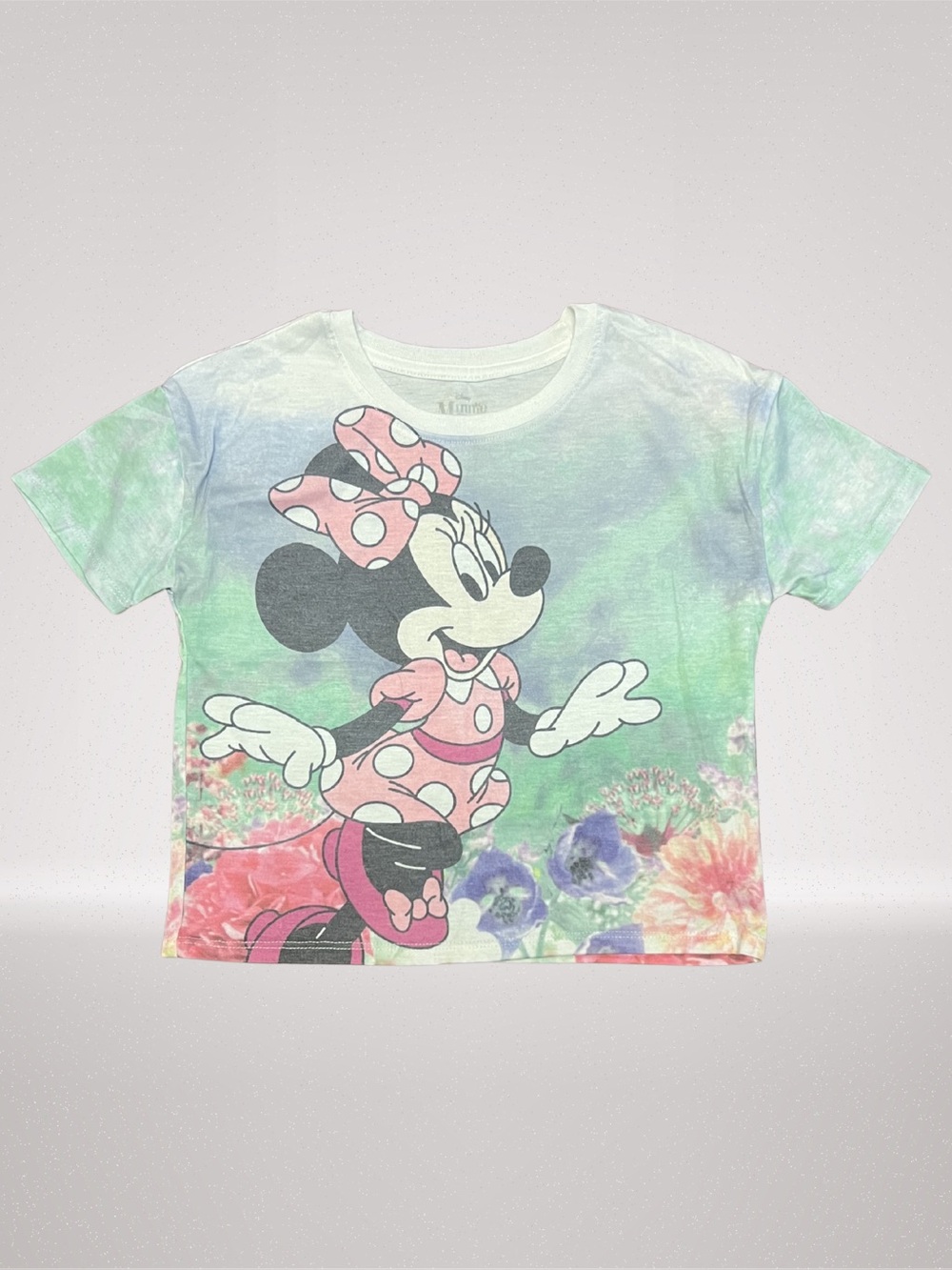 Disney Minnie Mouse Girls 3 Piece Pink Hoodie, Top, & Tulle Skirt Set, Size 6
